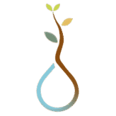 Logo de Dra. Miriam Regadera, especialista en medicina integrativa en Valencia y Online
